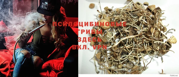 МДМА Белокуриха