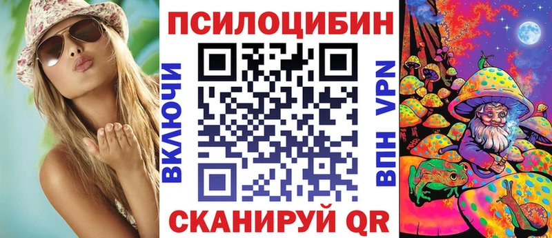 что такое   блэк спрут ТОР  Псилоцибиновые грибы прущие грибы  Дагестанские Огни 